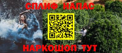 гашик Волжский