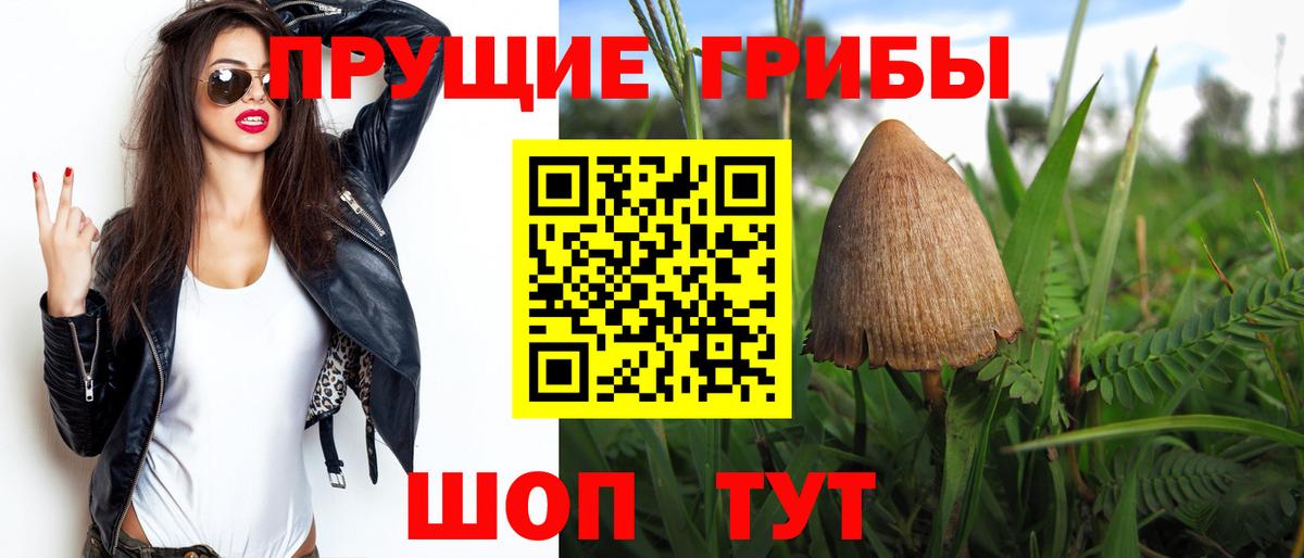 Галлюциногенные грибы MAGIC MUSHROOMS  цена наркотик  Пушкино  Вход с VPN 