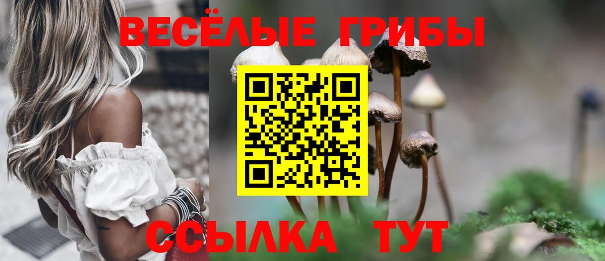 Галлюциногенные грибы GOLDEN TEACHER Пушкино
